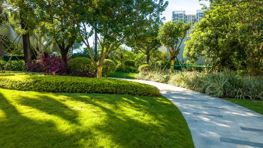 landscape construction, landscape construction near me